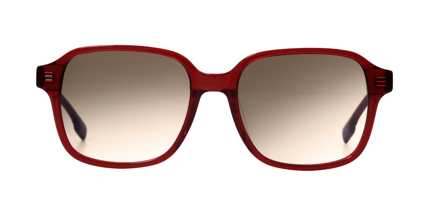 Full Rim Square Fashionista Classic sunglasses