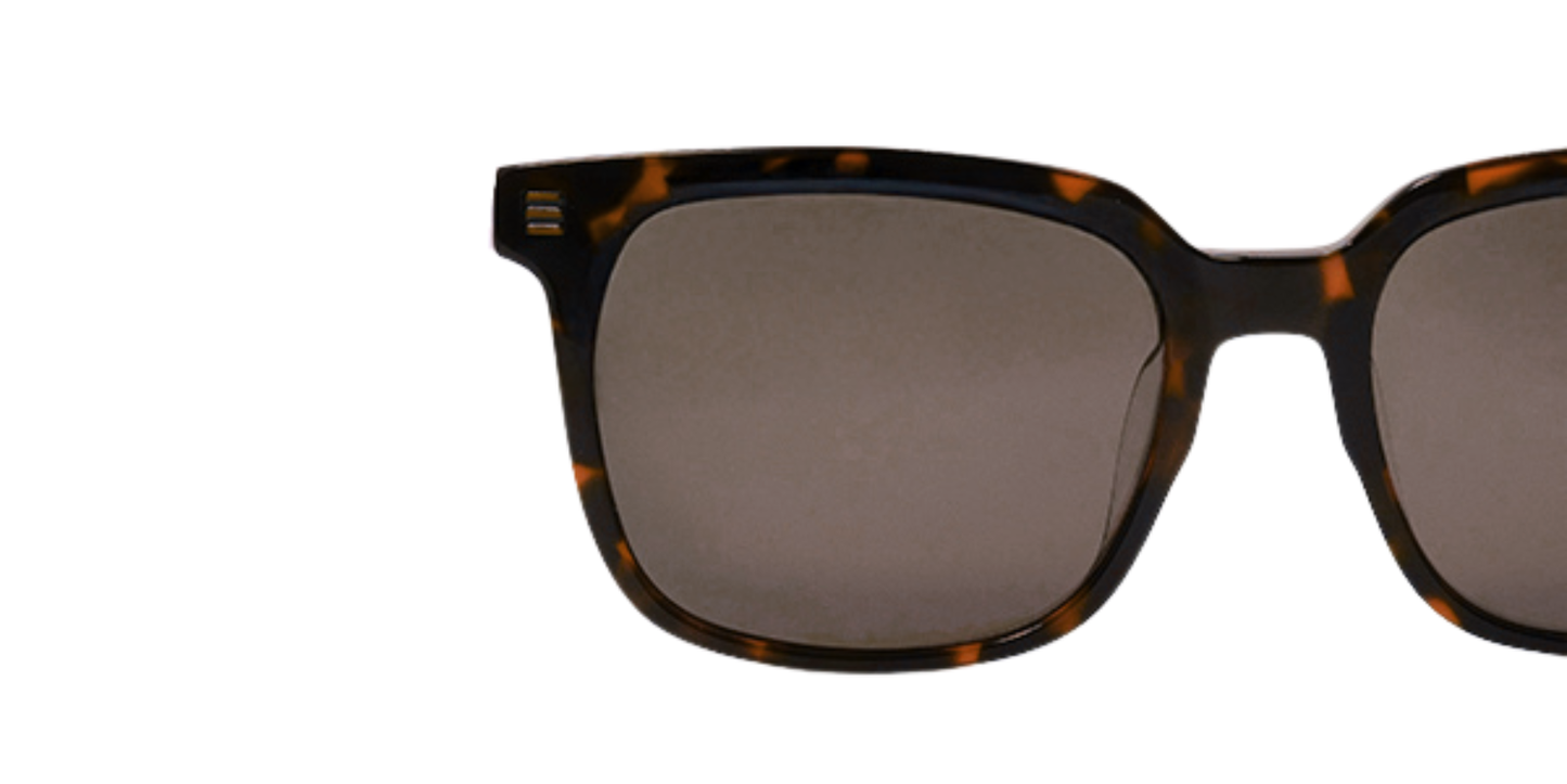 Full Rim Square Fashionista Classic sunglasses