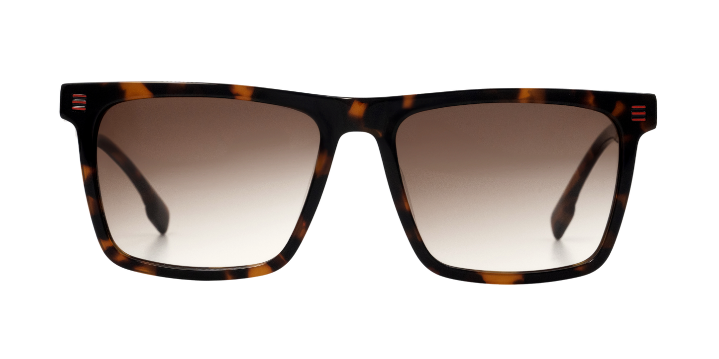 Full Rim Rectangle Fashionista Classic sunglasses