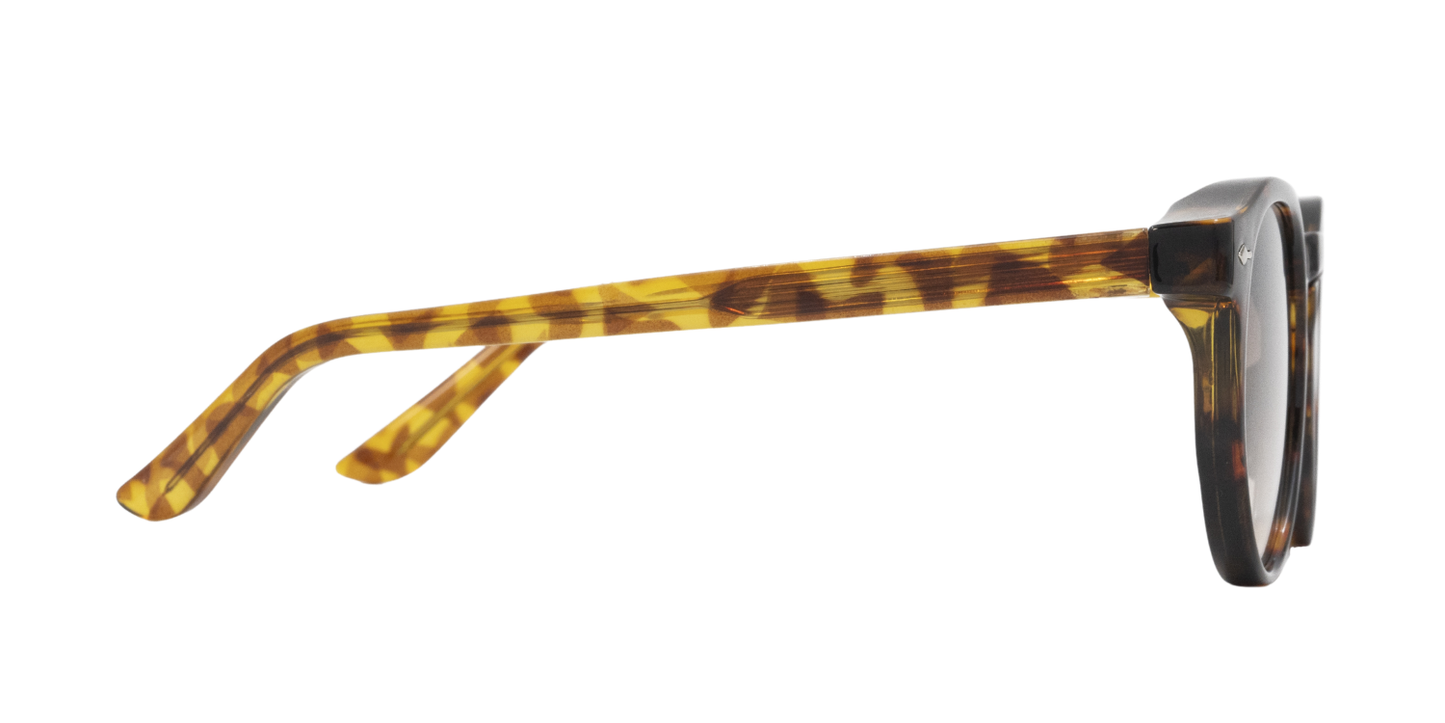 Full Rim Round Fashionista Classic Sunglasses