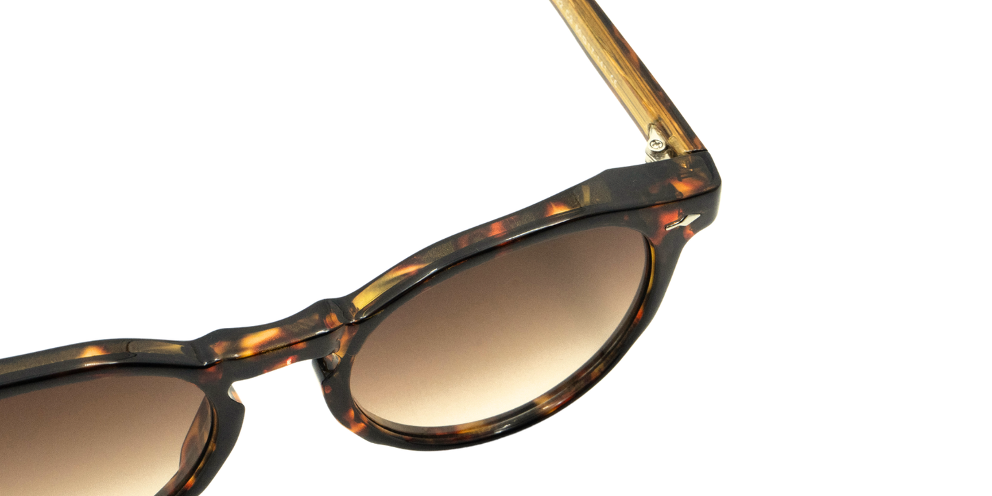 Full Rim Round Fashionista Classic Sunglasses