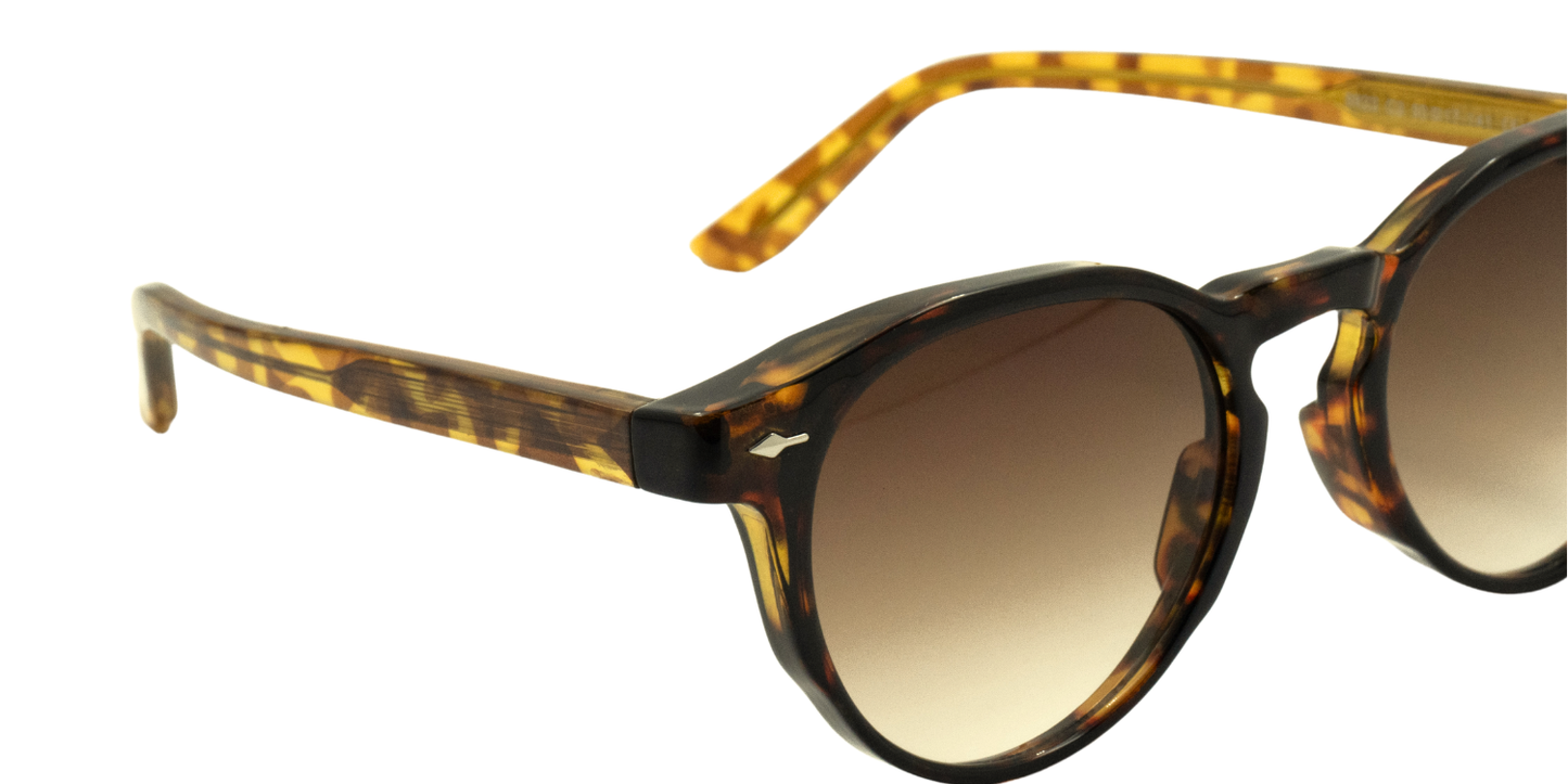 Full Rim Round Fashionista Classic Sunglasses