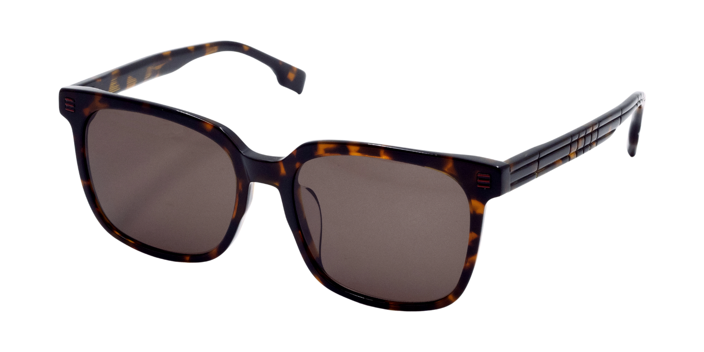 Full Rim Square Fashionista Classic sunglasses