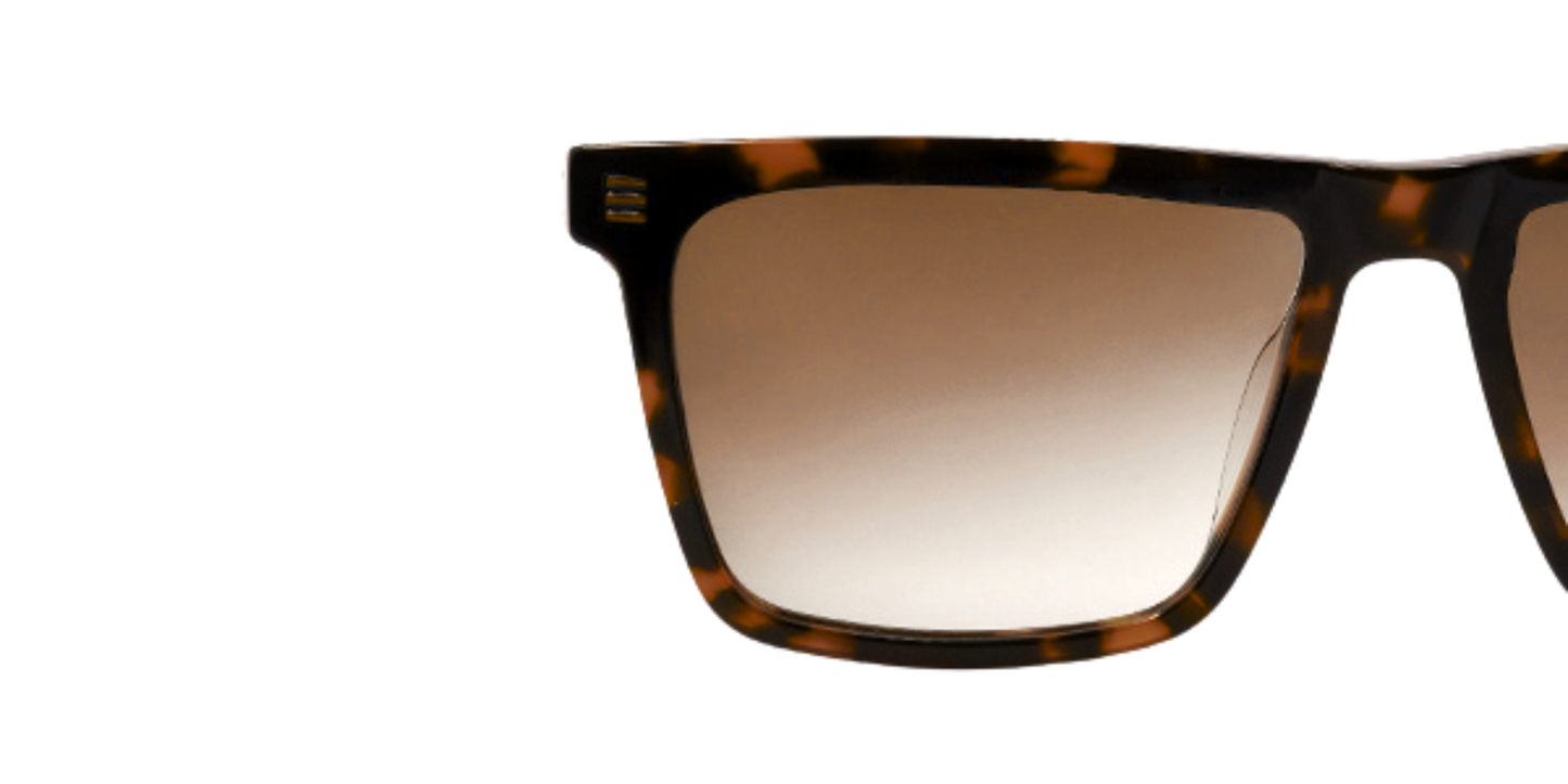 Full Rim Rectangle Fashionista Classic sunglasses