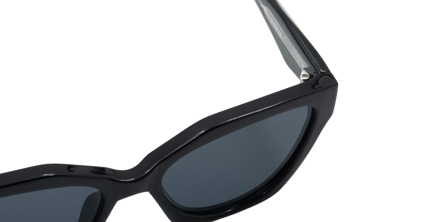 Full Rim Rectangle Fashionista Classic sunglasses