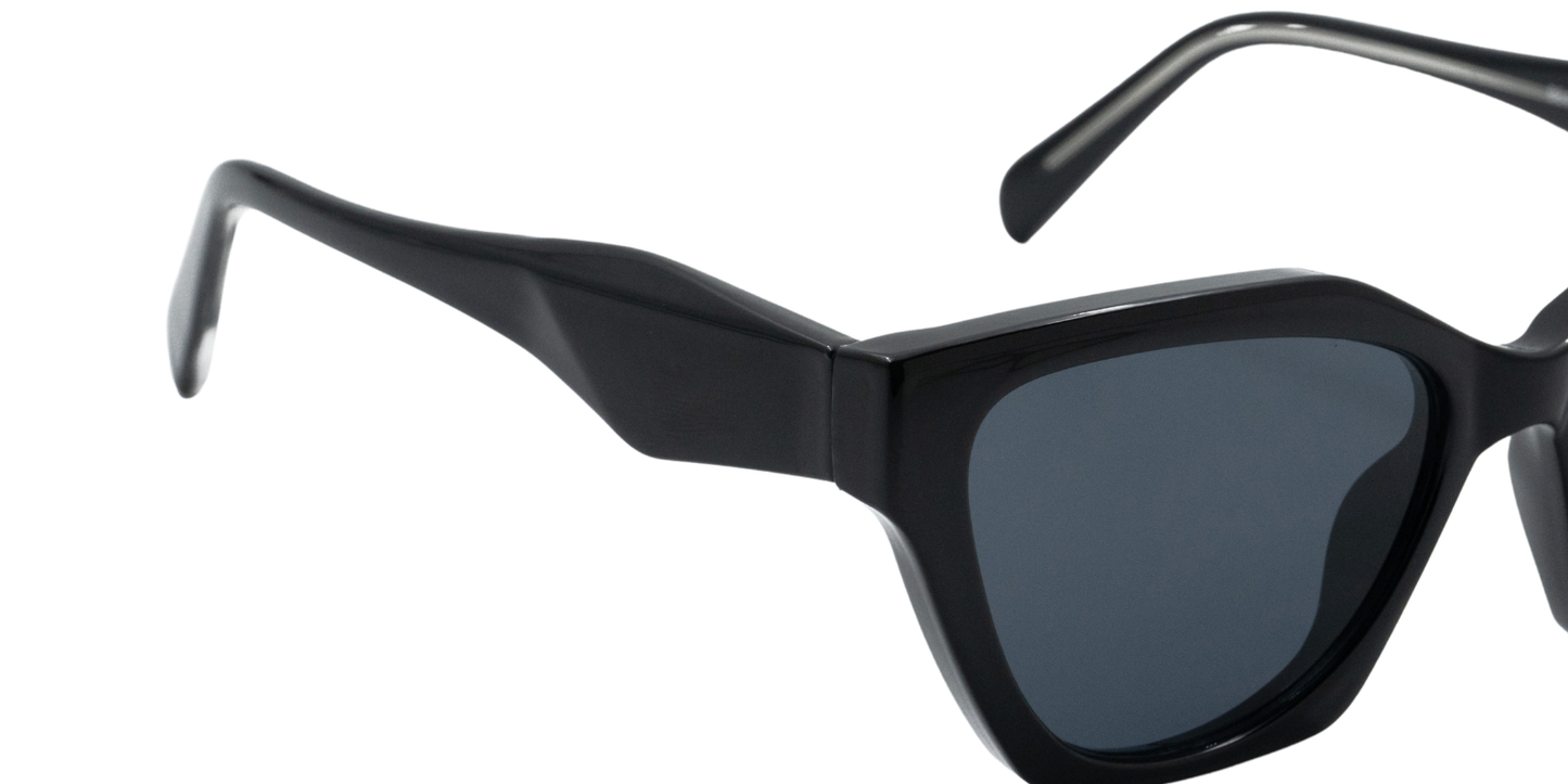Full Rim Rectangle Fashionista Classic sunglasses