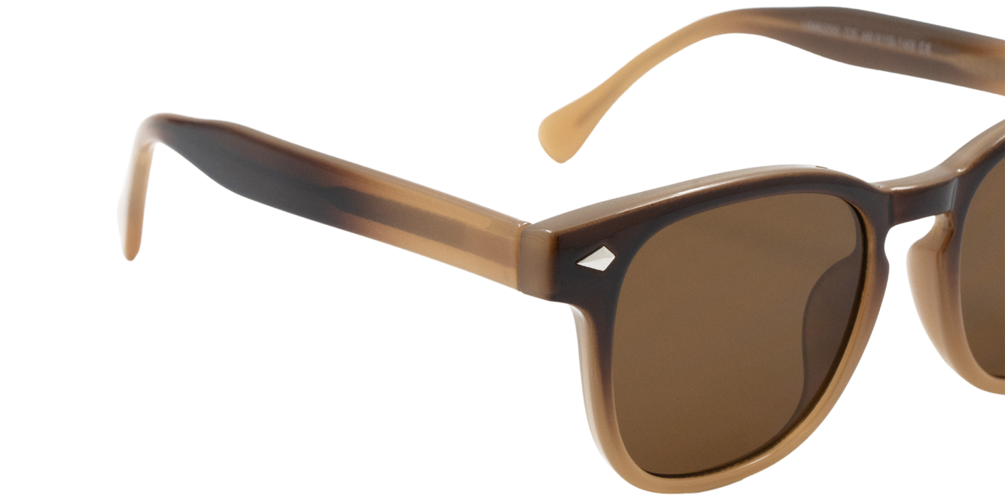 Full Rim Square Fashionista Classic sunglasses